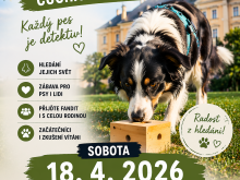 NOSEWORK - čuchací závod pejsků