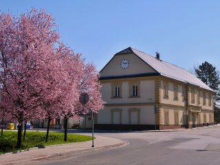 Jaro 2021